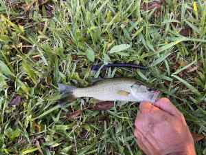 IMG_4653.jpeg