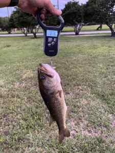 IMG_4669.jpeg