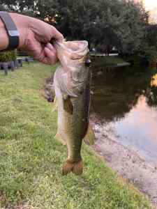 IMG_4670.jpeg