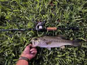 IMG_4692.JPEG