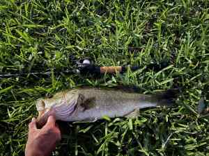 IMG_4695.JPEG