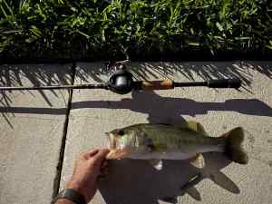 IMG_4705.JPEG