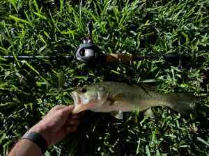IMG_4707.JPEG