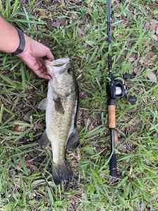 IMG_4714.JPEG