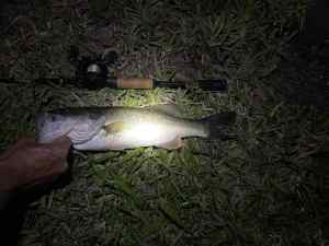 IMG_4718.JPEG