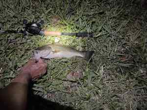 IMG_4721.JPEG