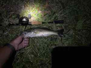 IMG_4730.JPEG