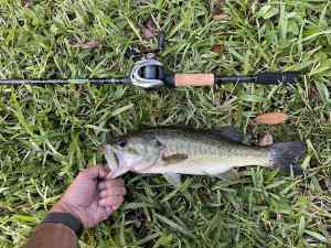 IMG_4733.JPEG
