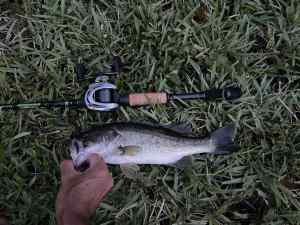 IMG_4734.JPEG
