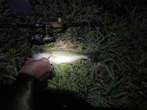 IMG_4736.jpeg