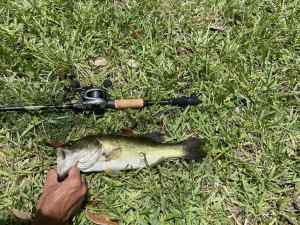 IMG_4739.JPEG