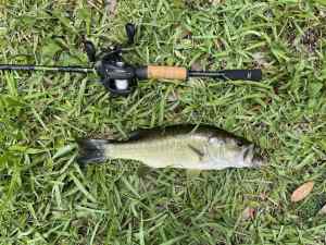 IMG_4744.JPEG