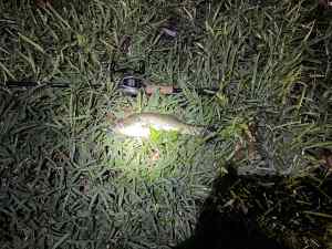 IMG_4763.JPEG