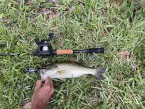 IMG_4772.jpeg
