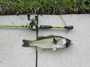 IMG_4778.JPEG