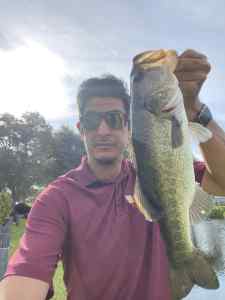 IMG_4781.JPEG