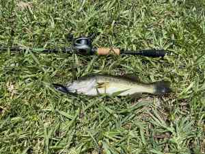 IMG_4803.jpeg