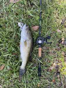 IMG_4809.JPEG