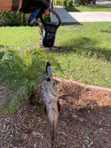 IMG_4821.JPEG