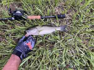 IMG_4837.jpeg