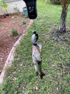IMG_4846.JPEG