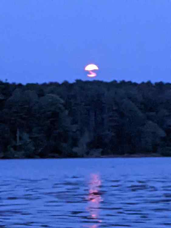 thumbnail-2023-06-04T152149_100.thumb.jpeg.e3d9f32f8427a6caf890f6ee35a8011c.jpeg