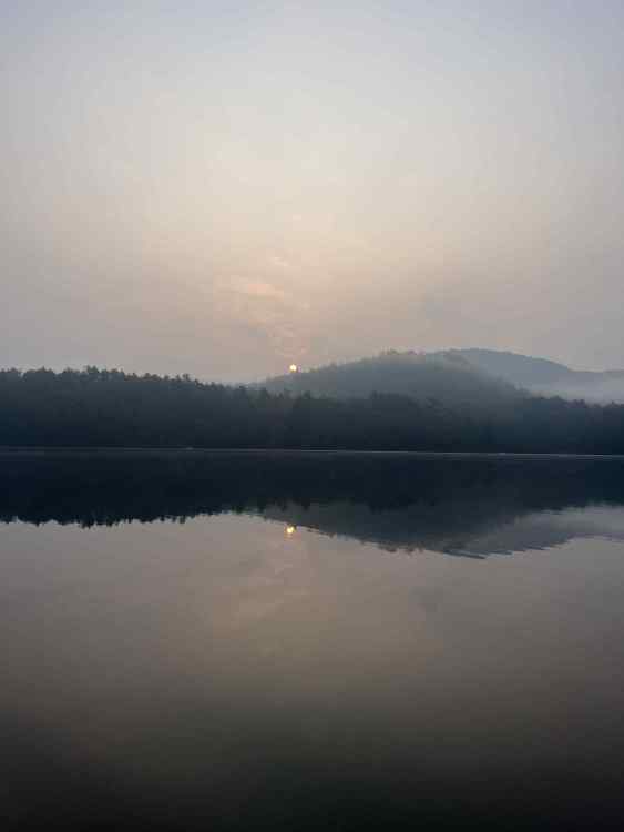 02281578-4D09-43A1-B092-E9CEF0FDB0B7.thumb.jpeg.ed974006180f35f4649433de0d7f0a06.jpeg