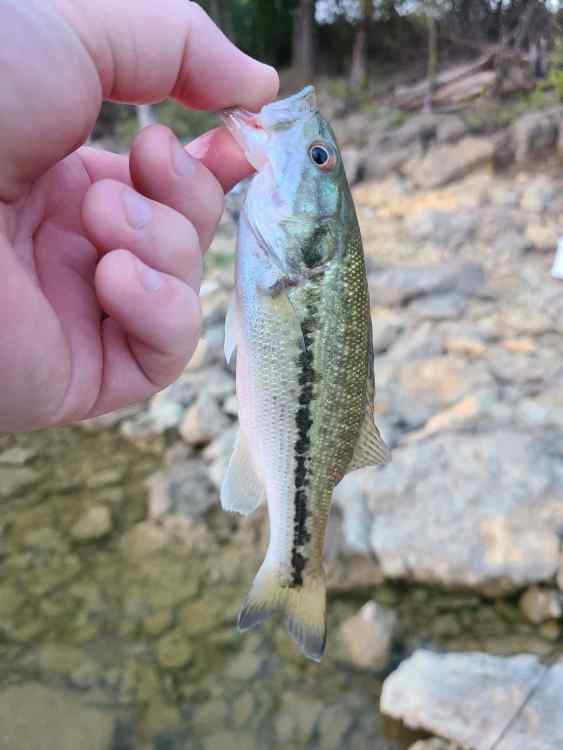 20230728_092439.jpg