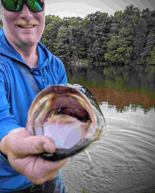 Compress_20230708_210929_9087.thumb.jpg.0b0a938cc7c262f0e4eddfa83d1e16ec.jpg