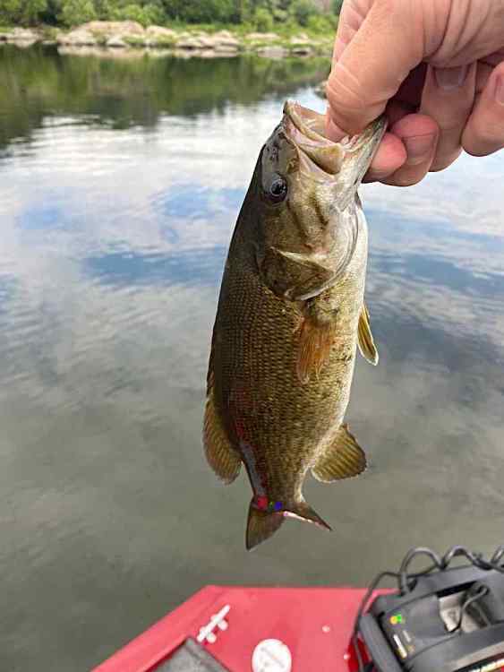 IMG_2023-7-3-120358.thumb.jpeg.b738352e44ac47afb9e615fc0a4efb01.jpeg
