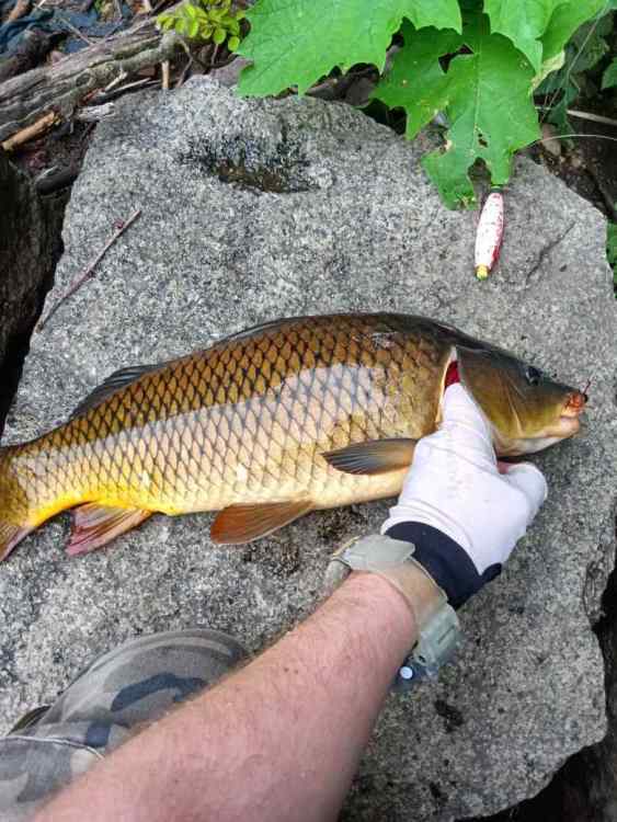 IMG_20230704_132519 (1).jpg