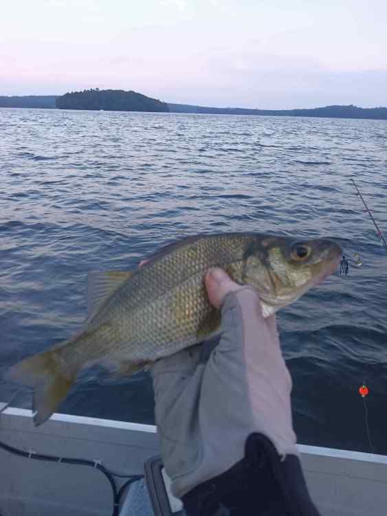 IMG_20230713_195816.jpg