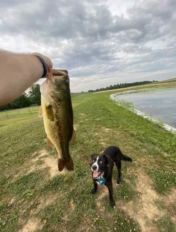 IMG_9268.thumb.jpeg.1f79f9bee518cf54890479d49128d4b0.jpeg