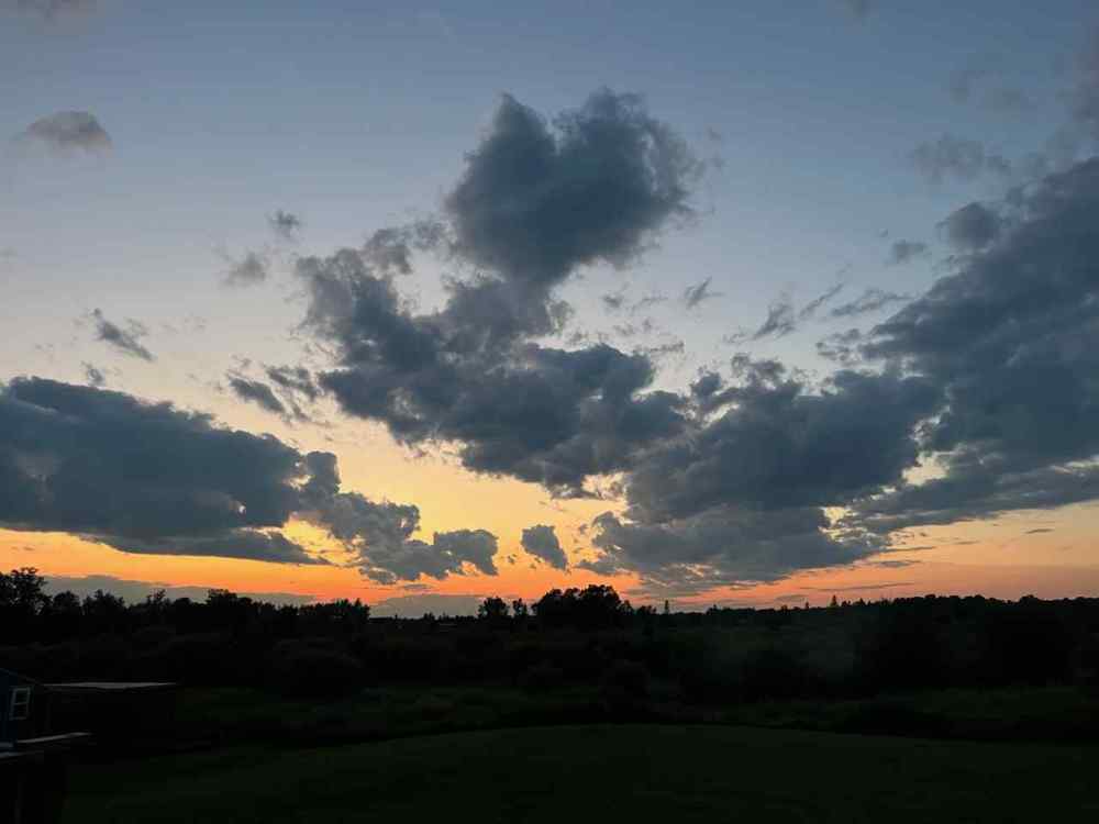 IMG_9611.jpeg