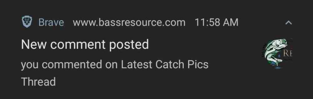 Screenshot_20230731-120927_Brave.thumb.jpg.8cac6a80d0cfe3a5a1cd71778c0a11ce.jpg