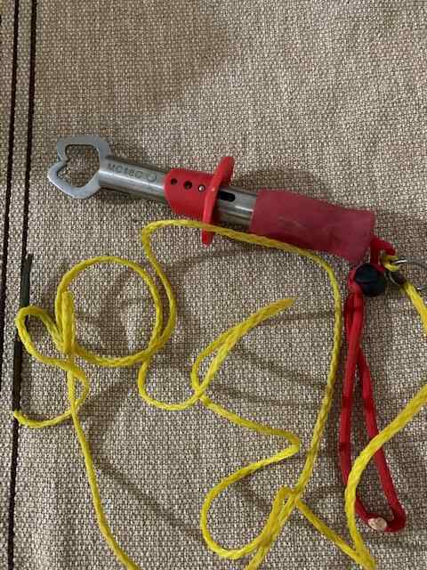 gripper.jpg.e5e046df329f7410df759d1e1a73c866.jpg