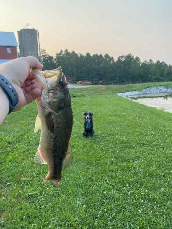 image.thumb.jpeg.68b6f9350a0ada92887b0eef6fa88047.jpeg