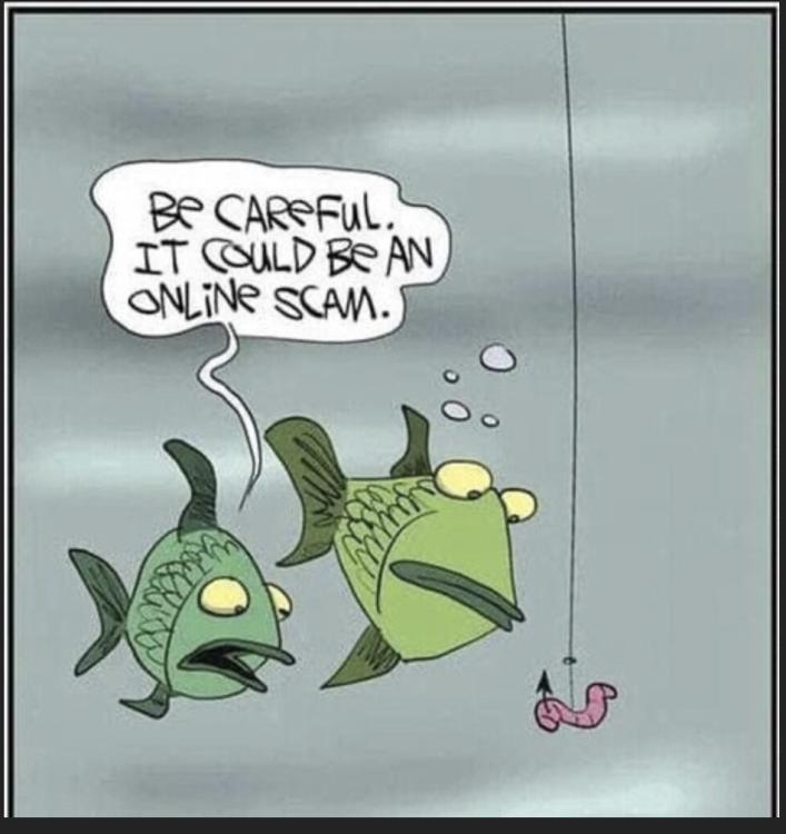 image.thumb.png.8b9297cb0ef4c317c895946488857c39.png