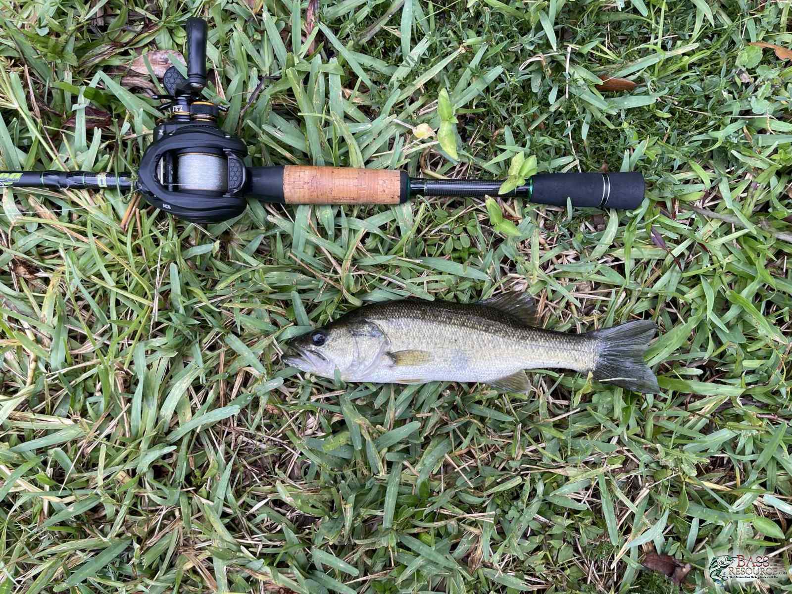 large.IMG_4929.jpeg.dc395403b251404d6c0df0ba78d88cdb.jpeg