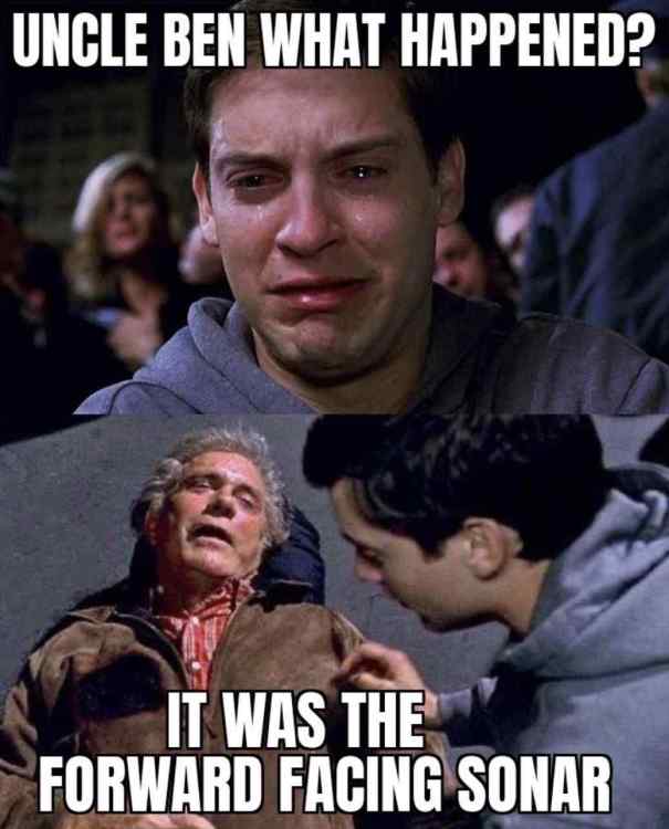 meme-fat-cat-newton-forward-facing-sonar-target-walleye.thumb.jpg.a2c06b80205de8943d6621244253eb94.jpg