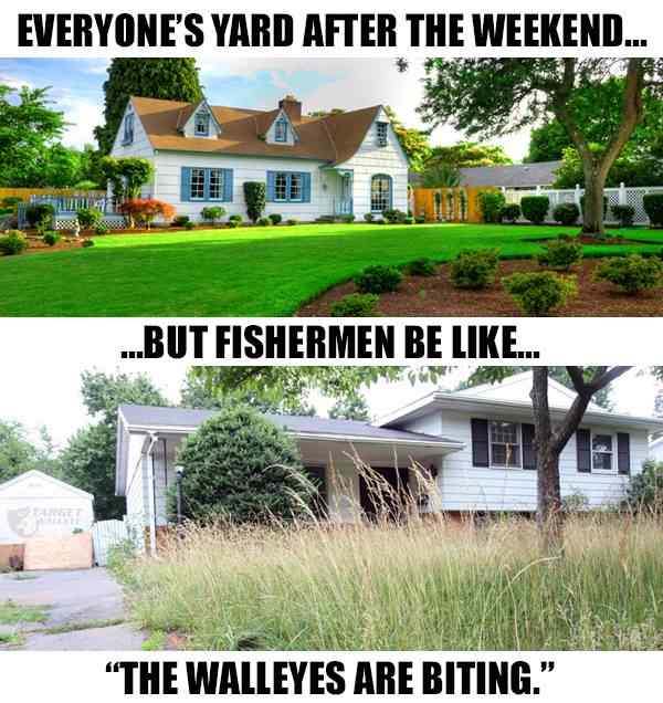 meme-lawn-grass-cutting-target-walleye-fishing.jpg.7445a323126aca787f3c0e2e38418d89.jpg