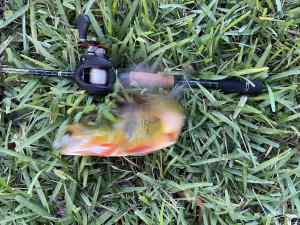 IMG_4879.jpeg