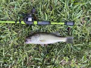 IMG_4889.JPEG