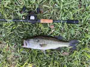 IMG_4914.JPEG