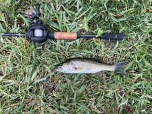 IMG_4929.jpeg