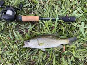 IMG_4947.jpeg
