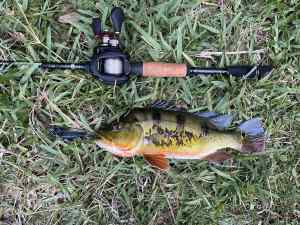 IMG_4969.JPEG