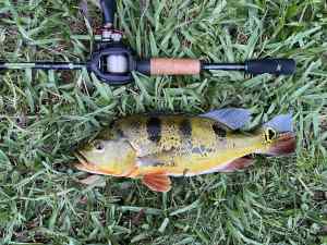 IMG_4972.JPEG