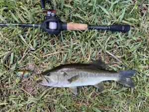 IMG_4978.jpeg