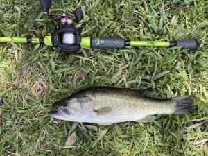 IMG_5012.JPEG